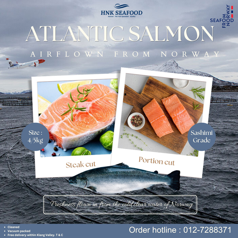 Fresh Air Flown Atlantic Salmon 新鲜空运挪威三文鱼