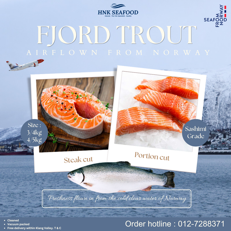 Fresh Air Flown Nowegian Fjord Trout (Malaysian called it Salmon Trout) 新鲜空运挪威峡湾鳟鱼